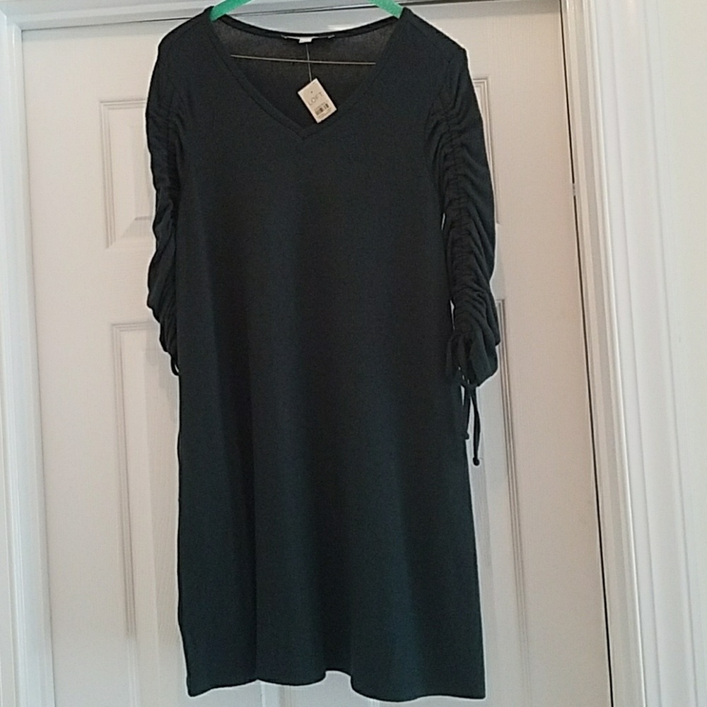 NWT LOFT Petite Cinched Sleeve Swing Dress (XSP)